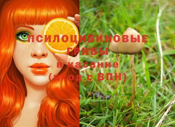 прущие крисы Алексеевка